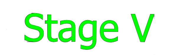 DIV5158 Sticker stageV